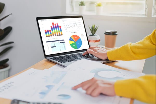 website audit