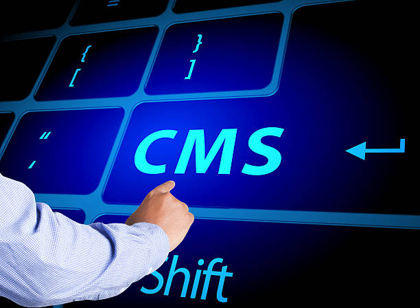 CMS website design agency