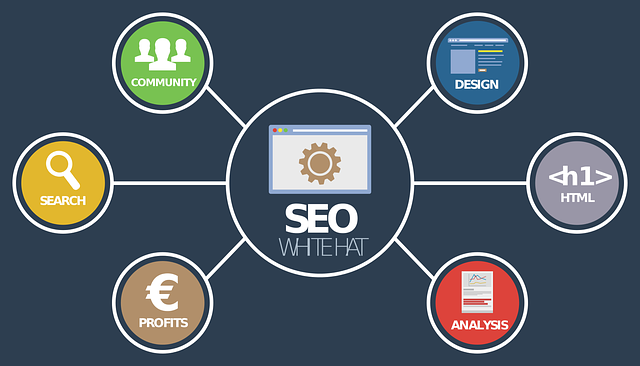 offshore SEO services