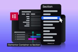 Elementor Container vs Section: Must Know Before Use Them
